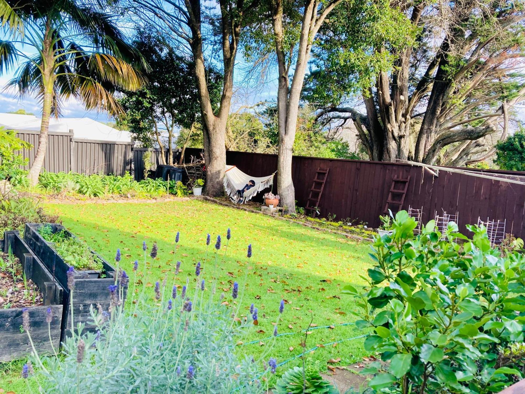 Spacious And Sunny Master Bedroom With Shared Bathrooms Homestay Auckland